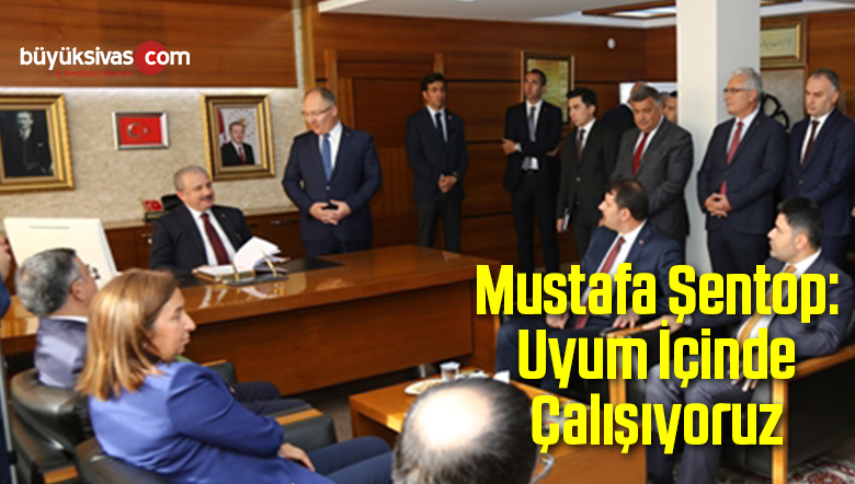 Mustafa Şentop: Uyum İçinde Çalışıyoruz