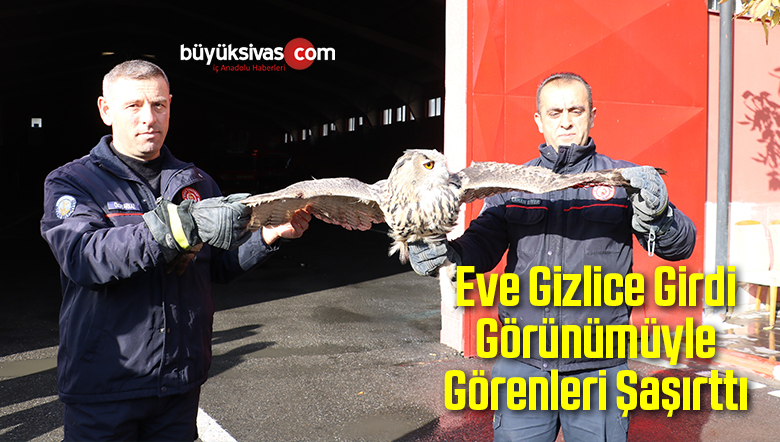 Eve Gizlice Girdi Görünümüyle Görenleri Şaşırttı