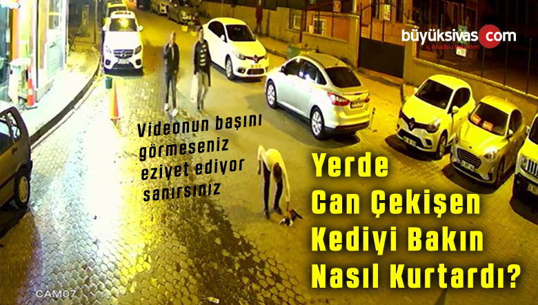 Nefes Alamayıp Can Çekişen Kediyi Kurtaran Sivaslı!