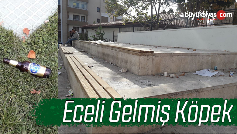 Cami Avlusuna Bira Şişesi Atmakta Nedir? Bu Kadarda Bozulmasak Keşke