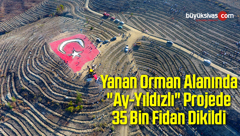 Yanan Orman Alanında “Ay-Yıldızlı” Projede 35 Bin Fidan Dikildi