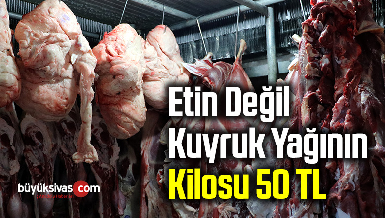 kuyruk yağı