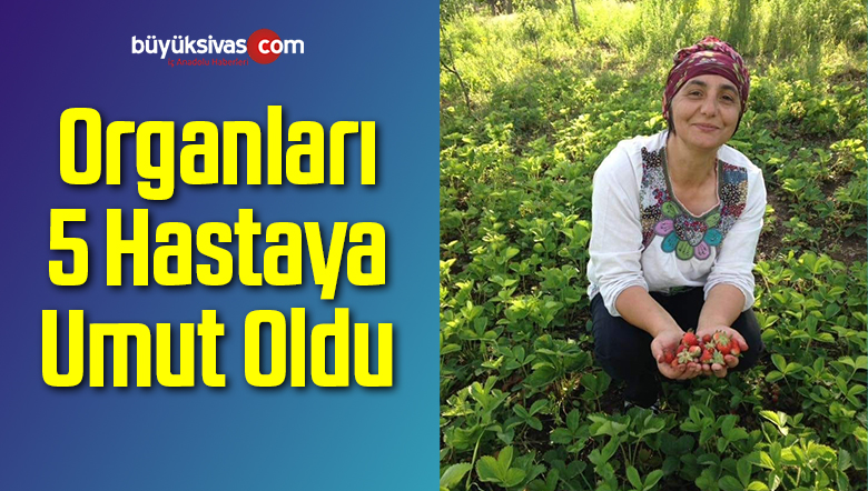 Organları 5 Hastaya Umut Oldu
