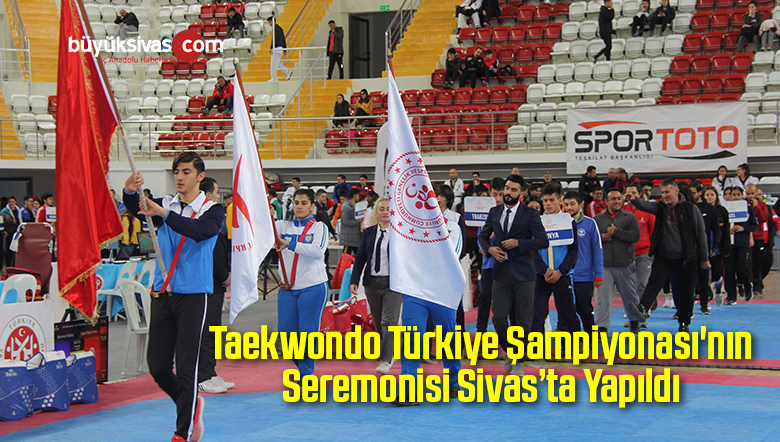 Türkiye Taekwondo
