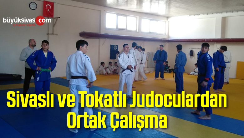 Ortak Çalışma
