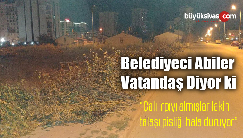 “Ağaçları Budayıp Kaldırımlara Atıp Pisliğinin Bırakmaları Doğru mu?”