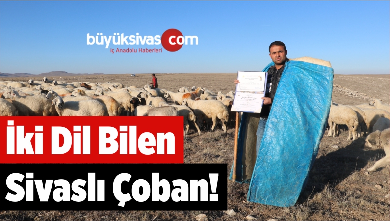 İki Yabancı Dil Bilen Aday Öğretmen Çobanlık Yapıyor