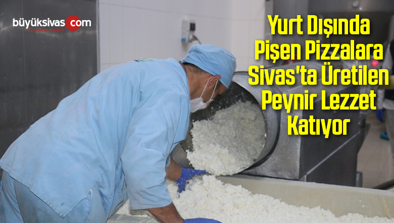 Yurt Dışında Pişen Pizzalara Sivas’ta Üretilen Peynir Lezzet Katıyor