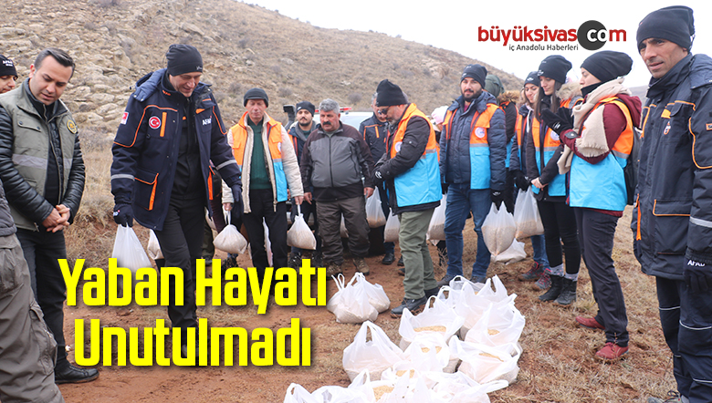 Yaban Hayatı Unutulmadı