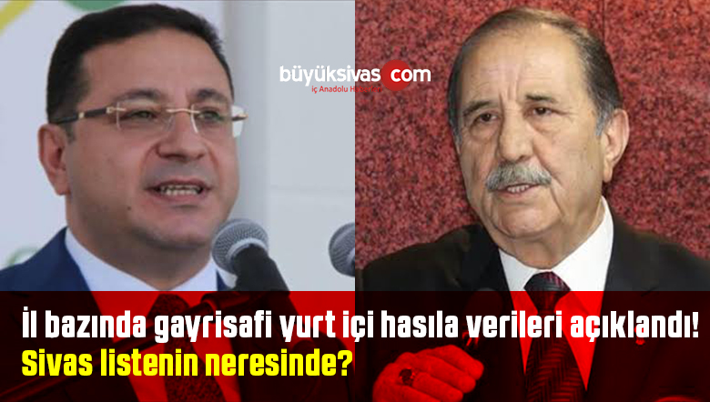 gayrisafi yurt içi hasıla