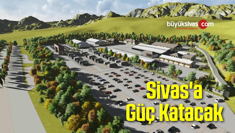 Canlı Hayvan Pazarı