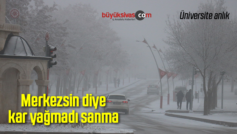 Soğuk Yaşamı