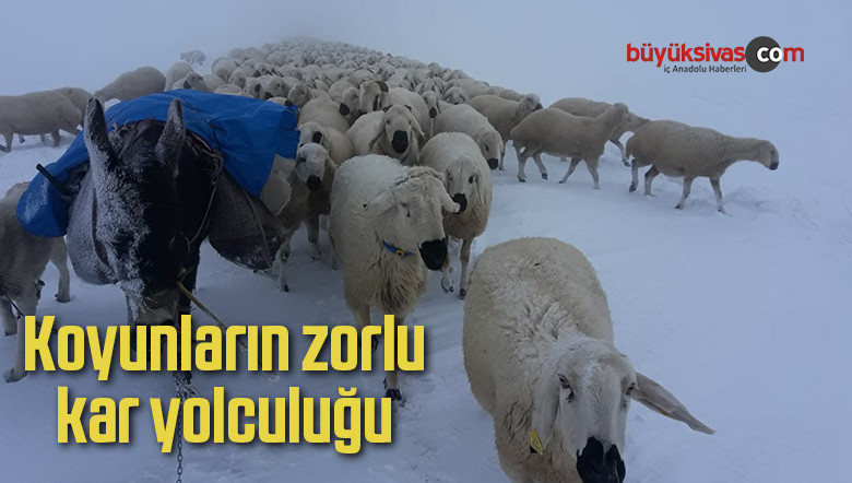 Kar Yolculuğunu
