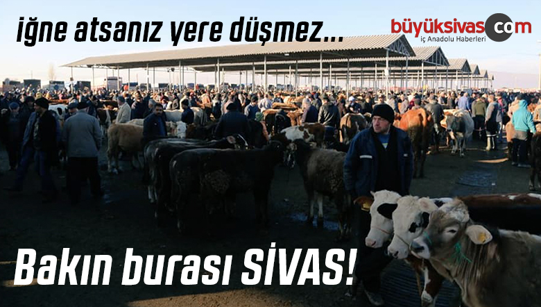 sivas şarkışla