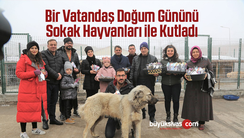 Doğum Gününü Sokak Hayvanları ile Kutladı