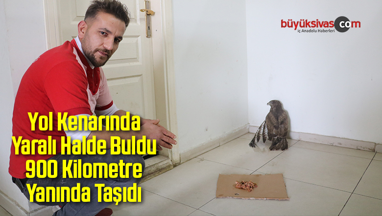 Yol Kenarında Yaralı Halde Buldu 900 Kilometre Yanında Taşıdı