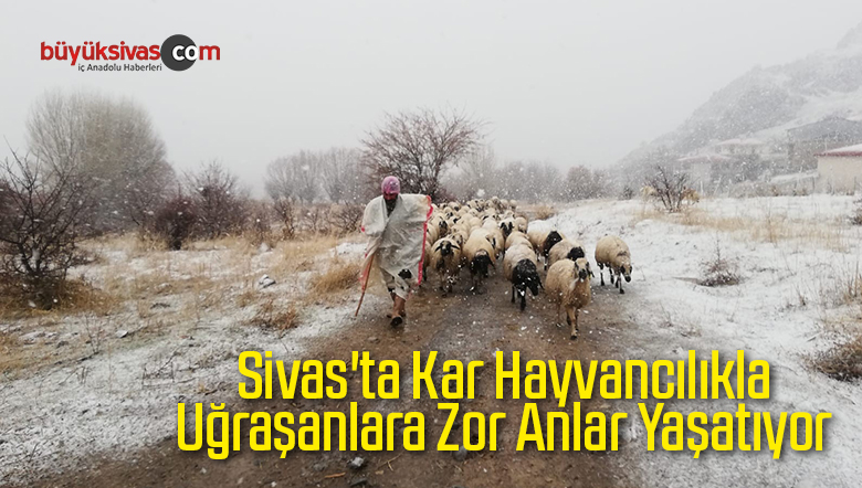 Sivas’ta Kar Hayvancılıkla Uğraşanlara Zor Anlar Yaşatıyor