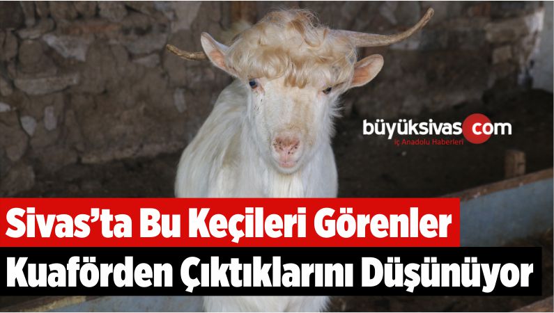Çıktıklarını Düşünüyor