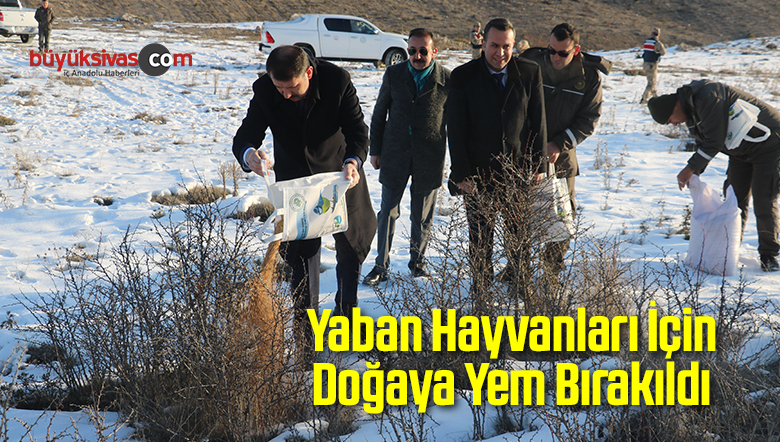 Yaban Hayvanları İçin Doğaya Yem Bırakıldı