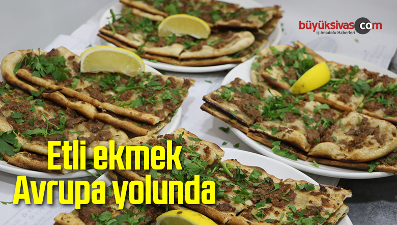 Yurtdışına