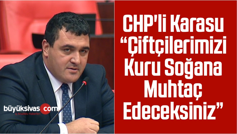 CHP’li Karasu: Çiftçilerimizi Kuru Soğana Muhtaç Edeceksiniz
