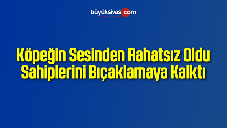Köpeğin Sesinden Rahatsız Oldu Sahiplerini Bıçaklamaya Kalktı