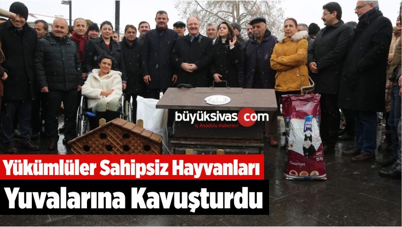 Yükümlüler Sahipsiz Hayvanları Yuvalarına Kavuşturdu