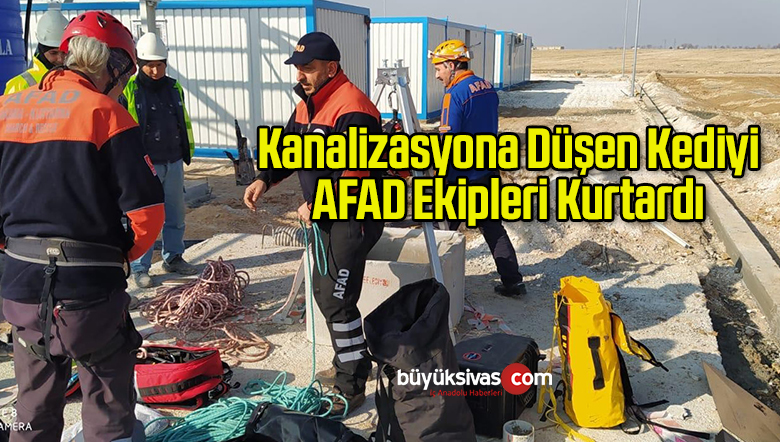 Kanalizasyona Düşen Kediyi AFAD Ekipleri Kurtardı