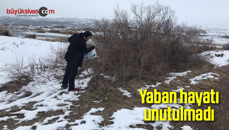 Yaban hayatı unutulmadı