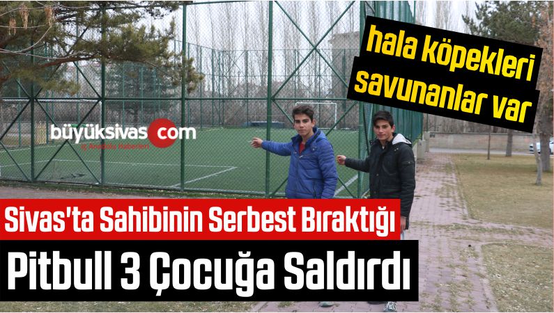 hala köpekleri savunanlar var