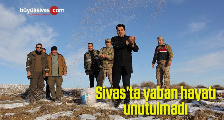 Sivas’ta yaban hayatı unutulmadı