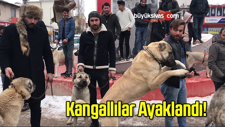 Kangallılar Ayaklandı!
