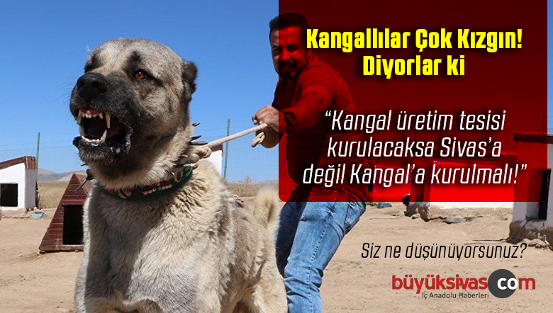 Kangallı Emin Ünlüer “Kangal Köpeği ve kangal koyunu Kangal’a aittir”