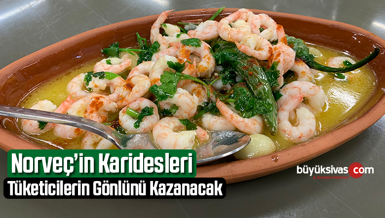 Norveç’in Karidesleri Türkiye’deki Tüketicilerin Gönlünü Kazanacak