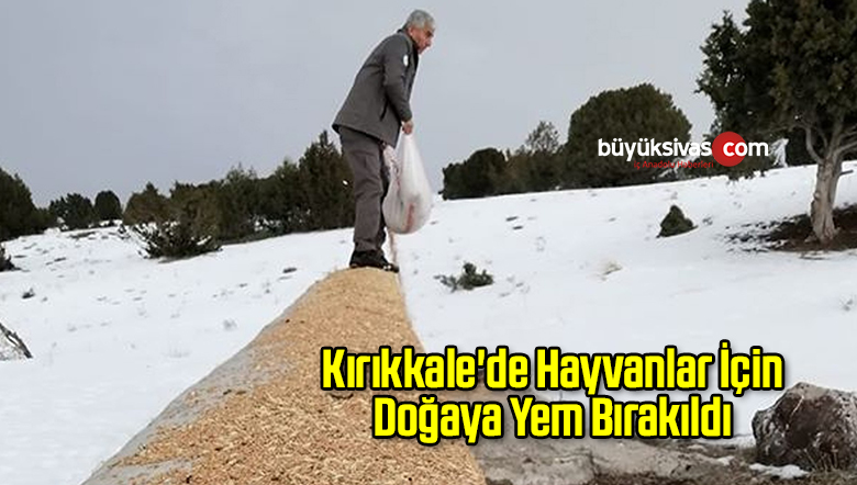 Doğaya
