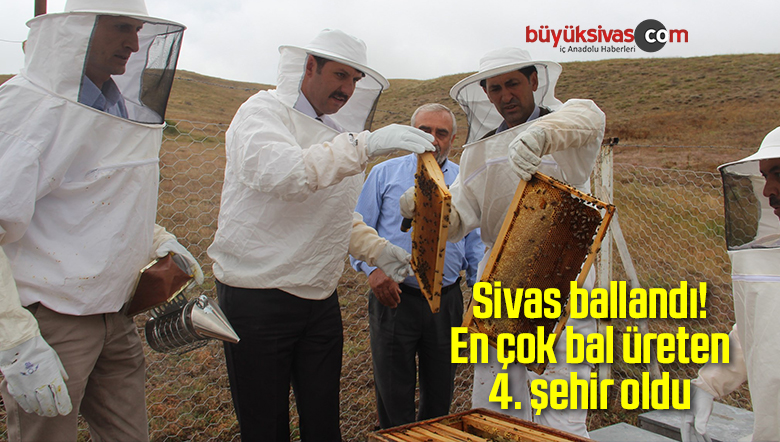 Sivas ballandı! En çok bal üreten 4. şehir oldu