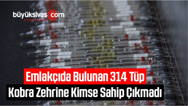 Emlakçıda Bulunan 314 Tüp Kobra Zehrine Kimse Sahip Çıkmadı