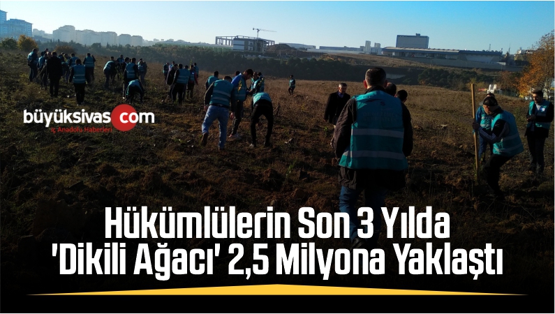 Hükümlülerin Son 3 Yılda 'Dikili Ağacı' 2,5 Milyona Yaklaştı