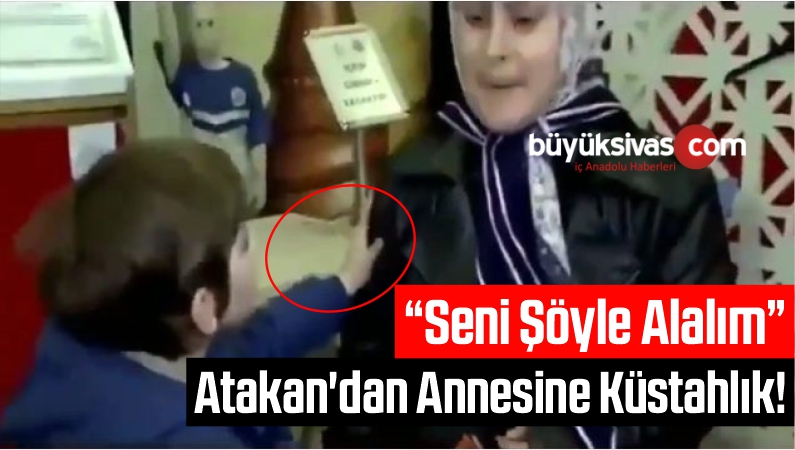 Seni Şöyle Alalım