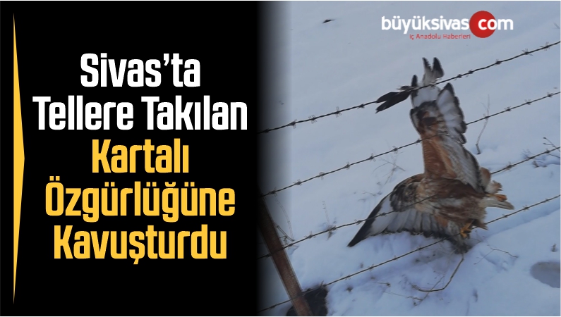 Tellere Takılan Kartalı Özgürlüğüne Kavuşturdu
