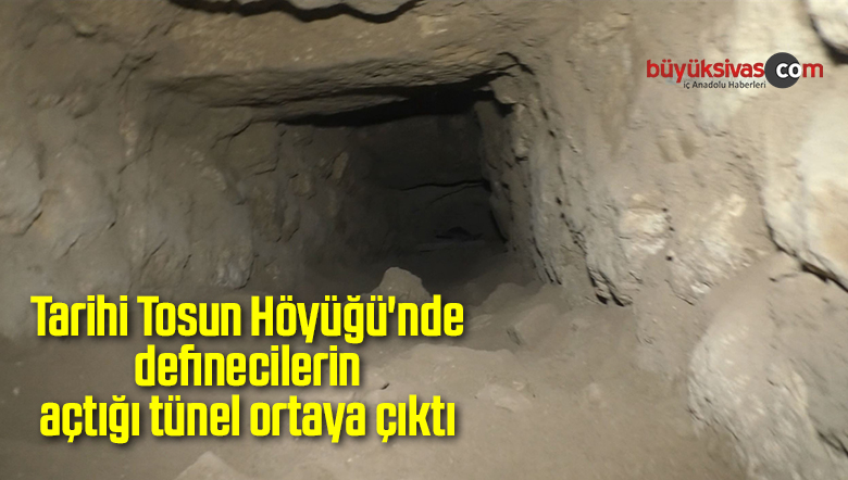 Tarihi Tosun Höyüğü’nde definecilerin açtığı tünel ortaya çıktı