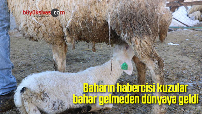Baharın habercisi