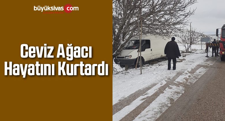 Ceviz Ağacı Hayatını Kurtardı