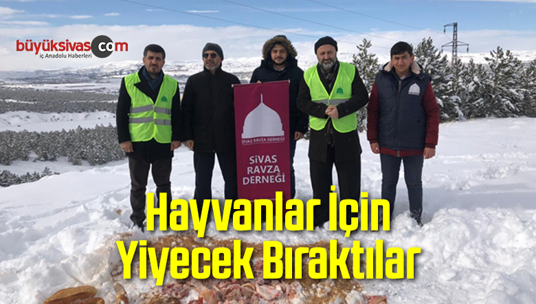 Hayvanlar İçin Yiyecek Bıraktılar