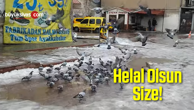 Kuşların İmdadına