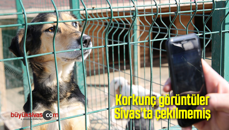 Korkunç görüntüler Sivas’ta çekilmemiş