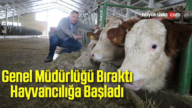 Genel Müdürlük