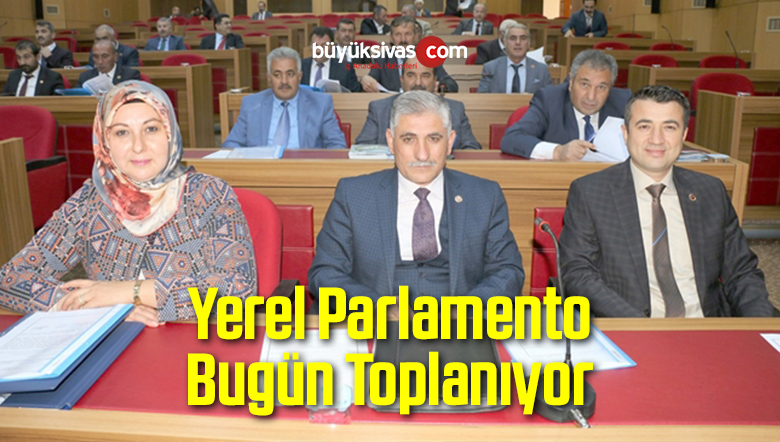 Şubat Toplantıları