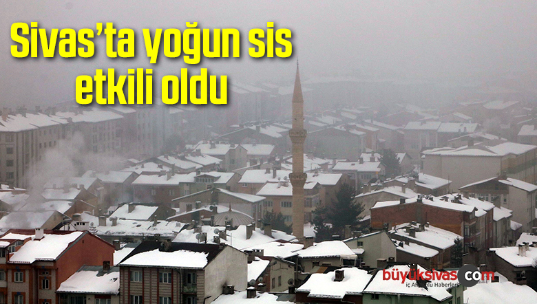 yoğun sis etkili