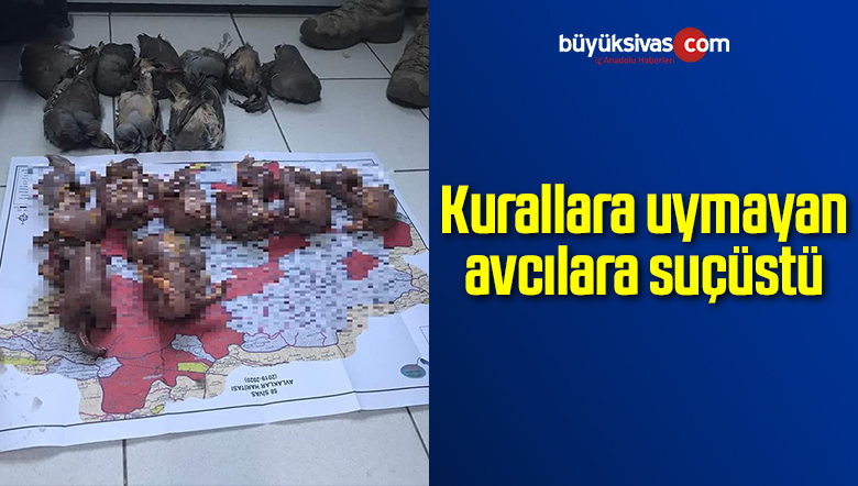 kurallarına